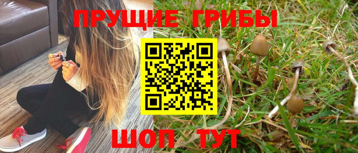 Янаул  Галлюциногенные грибы Psilocybine cubensis  Вход с VPN 